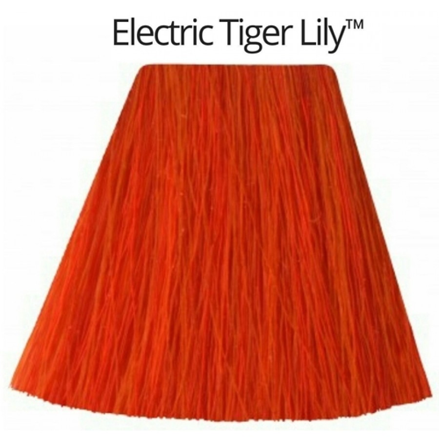 Electric Tiger Lily- גווני כתום -0